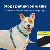 PetSafe 3 in 1 No-Pull Dog Harness, Walk, Train or Travel - Teal / Medium (Pack of 1) - image 3