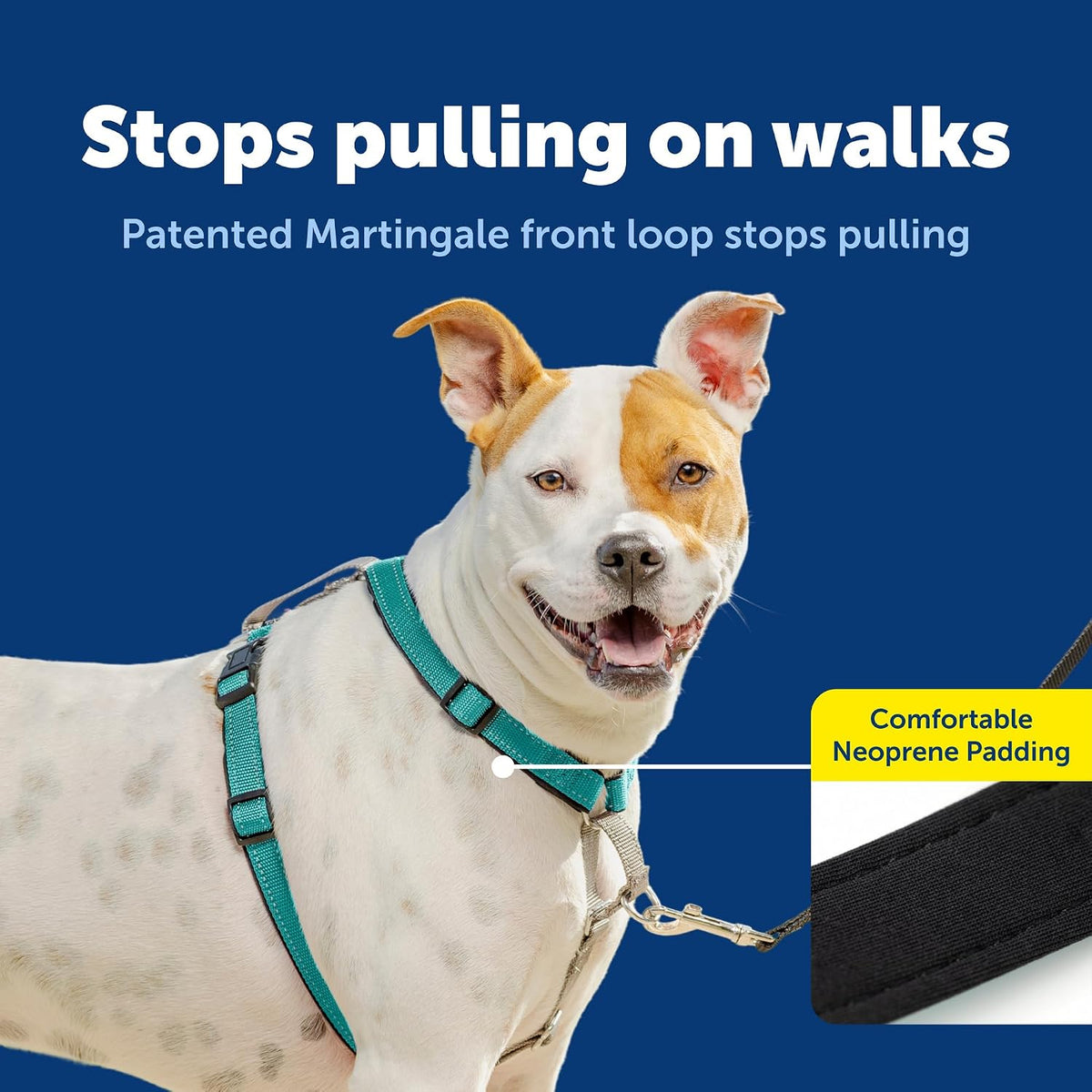 PetSafe 3 in 1 No-Pull Dog Harness, Walk, Train or Travel - Teal / Medium (Pack of 1) - image 3