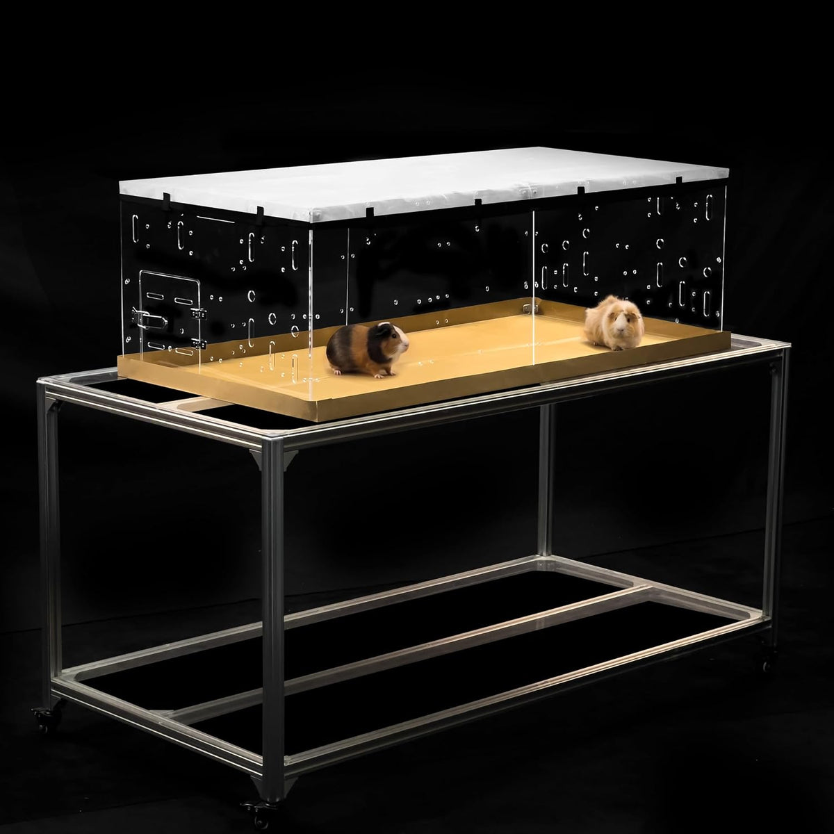 GuineaLoft Model-A Acrylic Guinea Pig Cage - Model-A5