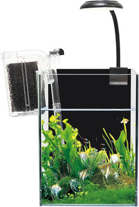 White Glass Betta Aquarium Starter Kits 1.2 Gallon Betta Fish Tank Starter Kit - LED Light & Self-Cleaning Filter Included