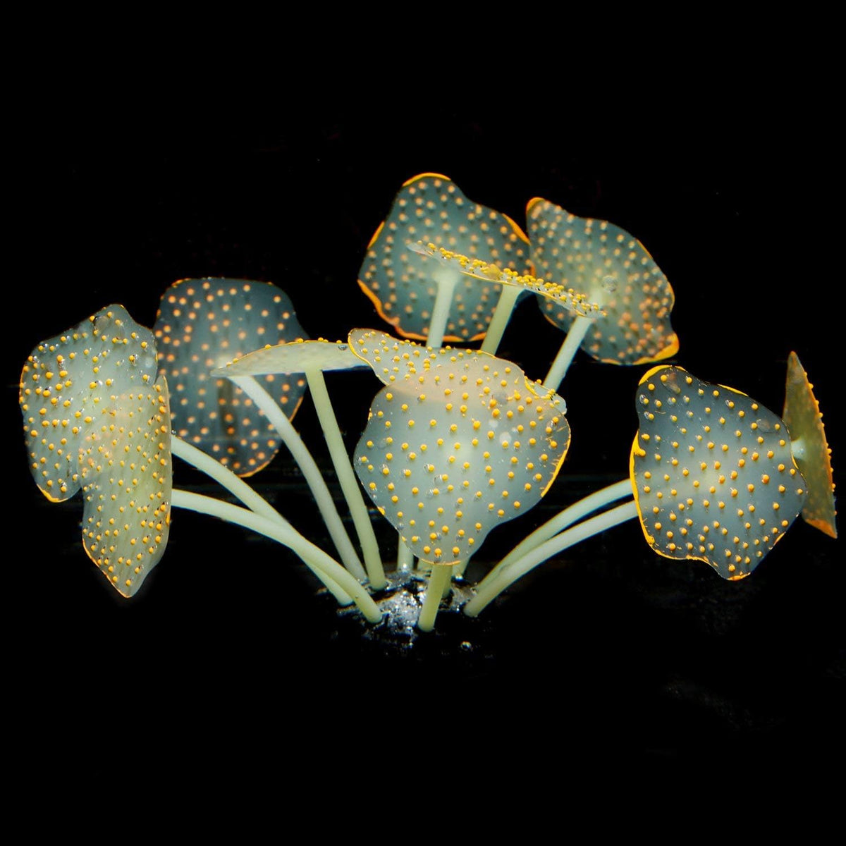 Uniclife Silicone Coral Plant Decorations Glowing Artificial Ornament - Orange / Coral - image 2