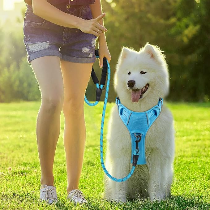 BARKBAY Dog Harness No Pull with ID Tag Pocket - Heavy Duty, Reflective, Easy Control for Large Dogs(Blue,S)