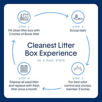 Boxie® Probiotic 40 Day Natural Odor Control Cat Litter, 16lb Clumping Clay Kitty Litter (Pack of 2)
