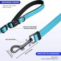 Kazazoo Hands-Free Dog Leash Adjustable Length 5-8 Ft - Sky Blue / M - image 3