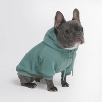 Spark Paws Dog Hoodie, Buttery-Soft Sweater Sweatshirt - Teal / X-Large
