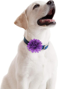 WILLBOND 20 Pcs 4.7 Inch Dog Collar Flowers Bow, Multicolored – Essentials for Dogs - 4.7 Inch - image 4