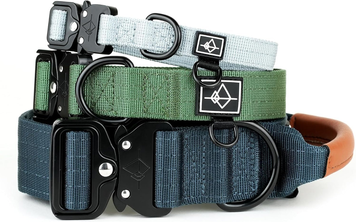 MADE TO ROAM Explorer Dog Collar - Maine Marina / Size 4