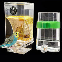 Automatic No Mess Bird Feeder Water Dispenser Set – Essentials for Birds - Transparent + Green