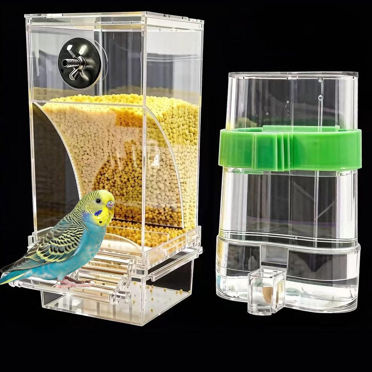 Automatic No Mess Bird Feeder Water Dispenser Set – Essentials for Birds - Transparent + Green