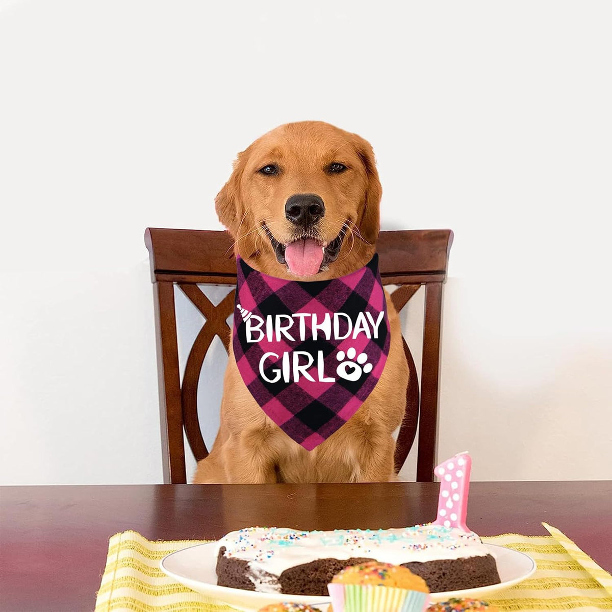STMK Dog Birthday Bandana - Large / Pink - image 2