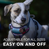 Embark No Pull Dog Harness, Reflective Adjustable Training Vest - XL / Baja - image 4