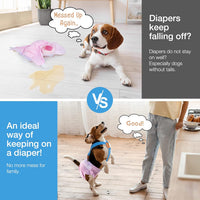 Pet Soft Dog Suspenders 2 Pieces Female Dog Diaper Suspenders - Gold & Blue / XS/S - image 3