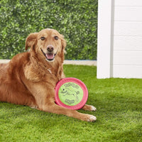 Booda Tail-Spin Flyer, Multi - image 2
