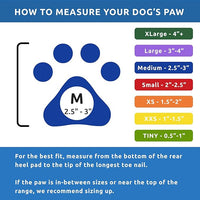 PawZ Rubber Dog Boots for Paws up to 3", 24 Total (2 Packs of 12) - All-Weather Dog Booties for Hot Pavement, Snow, Mud, and Rain - Waterproof, Anti Slip Dog Socks - Medium, Blue