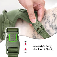 No Pull Dog Harness, Puppy Vest with Front Clip for Small Medium Large Sized Cute Dog (Misty Green,L)