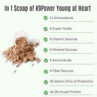 K9 Power Young at Heart Senior Dog Multivitamin 1 lb – Advanced Supplement for Seniors – Supports Brain, Heart, Vision, Joint Health, and Mobility