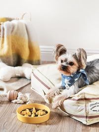Ceramic Slow Feeder Dog Bowls Small Breed - Yellow / S-0.5 Cups - image 2