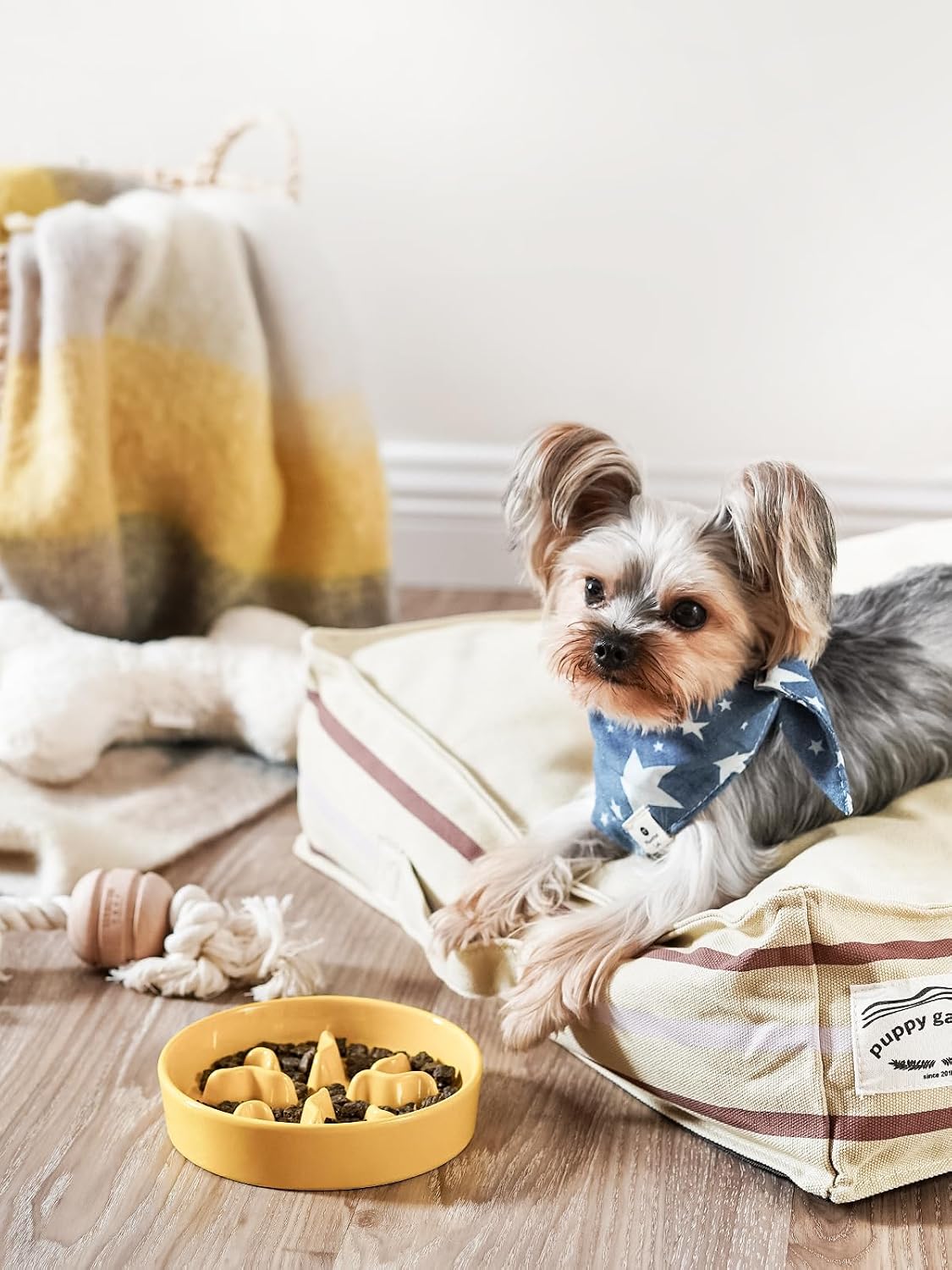 Ceramic Slow Feeder Dog Bowls Small Breed - Yellow / S-0.5 Cups - image 2