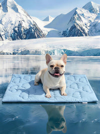 Huafly Dog Cooling Mat,Dual-Sided Cooling Mat for Dogs Cloud Blue – Essentials for Dogs - M: 36.0" L x 23.0" W x 0.8"Th