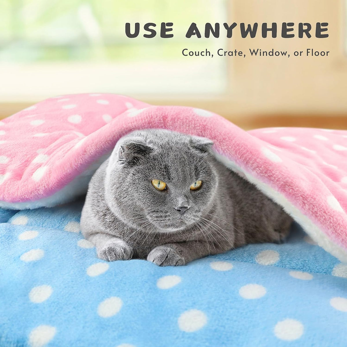 2 Pack Cat Blanket for Indoor Cats - Polka Dots / 31X22 in - image 2