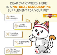 Cat Joint Supplement for All Breeds – Glucosamine for Cats and Kittens – Glucosamine, Chondroitin, MSM for Hip & Joint Care – Natural Ingredients with Chicken Flavor – 2 Oz