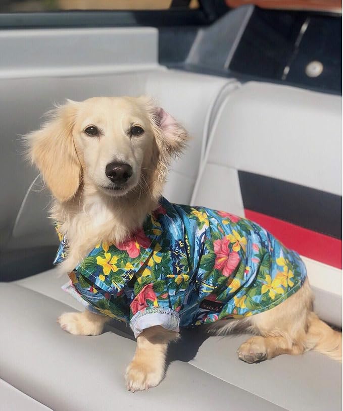 Parisian Pet Hawaiian Dog Shirt - Cotton Summer Clothes - Stylish Beach Outfit - Hook and Loop Closure - Machine Washable - XL