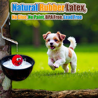Squeaky Dog Toys for Small Dogs, Mini Breeds - 4 Color For XS/S 2.2" / Small - image 3