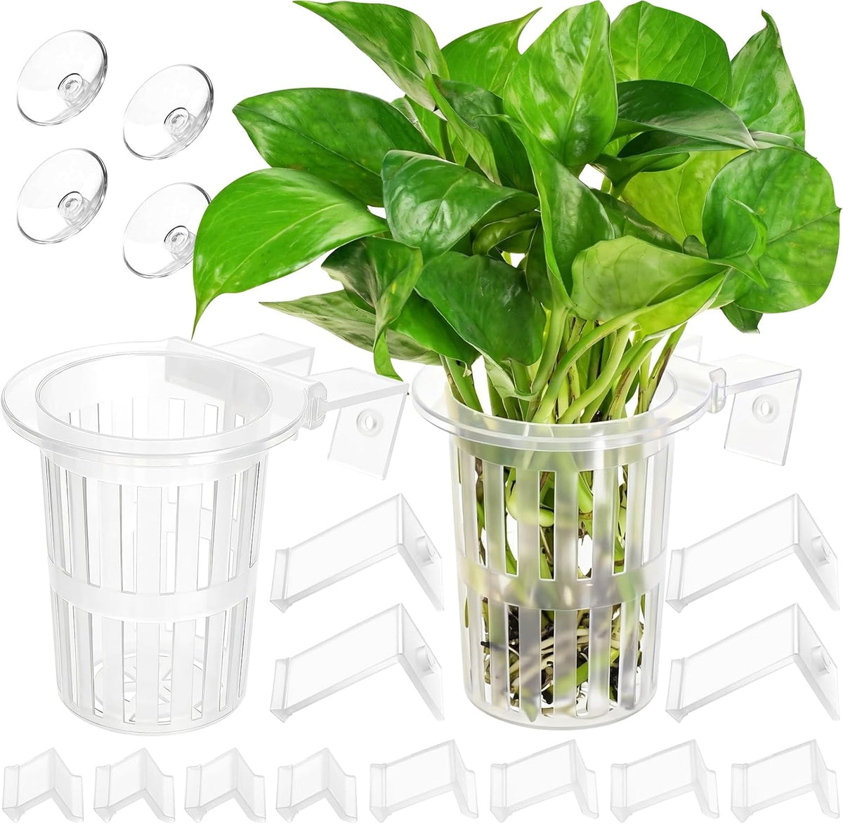 New Upgraded Large Aquarium Plant Holder with 1.57-inch Extension - Transparent-2 Pack