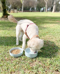 Barkin’ Trails Travel Dog Bowls, Portable Outdoor Water - Icy Blue - image 3