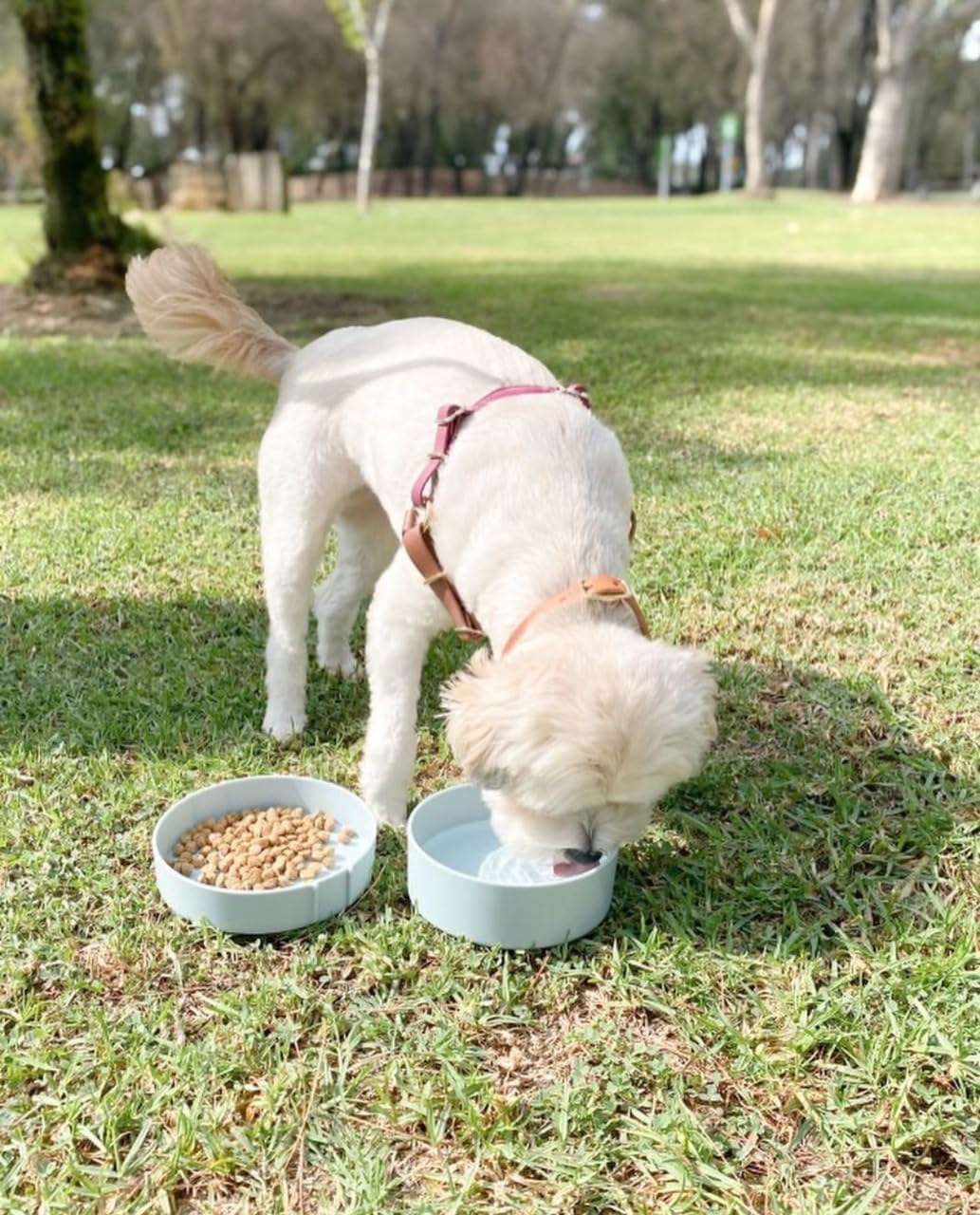 Barkin’ Trails Travel Dog Bowls, Portable Outdoor Water - Icy Blue - image 3
