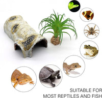 Reptile Hides and Caves Birch Tree Bark Trunk Habitats Decor Aquarium - Medium - image 4