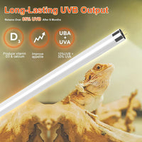 8W T5 10.0 UVB Reptile Light Fixture 12" - Fixture Black / 8W 12 Inch - image 3