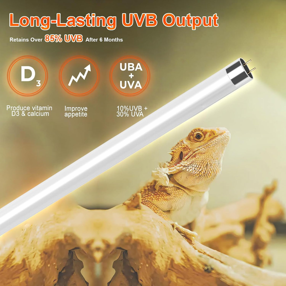 8W T5 10.0 UVB Reptile Light Fixture 12" - Fixture Black / 8W 12 Inch - image 3