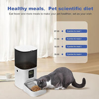 Automatic Cat Feeder, 6L Cat Food Dispenser with 10s Voice Recorder, Pet Feeder up to 8 Meals per Day, Timed Feeder with Dry Food Sealed Ring (Jade White, 6L)