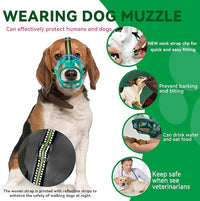 Dog Muzzle, Basket Muzzle for Small Medium Large Dogs, Anti-Biting and Chewing, Lightweight & Sturdy Cage Design, Allows Panting & Drinking, Ideal for Grooming & Training(Green Size L)