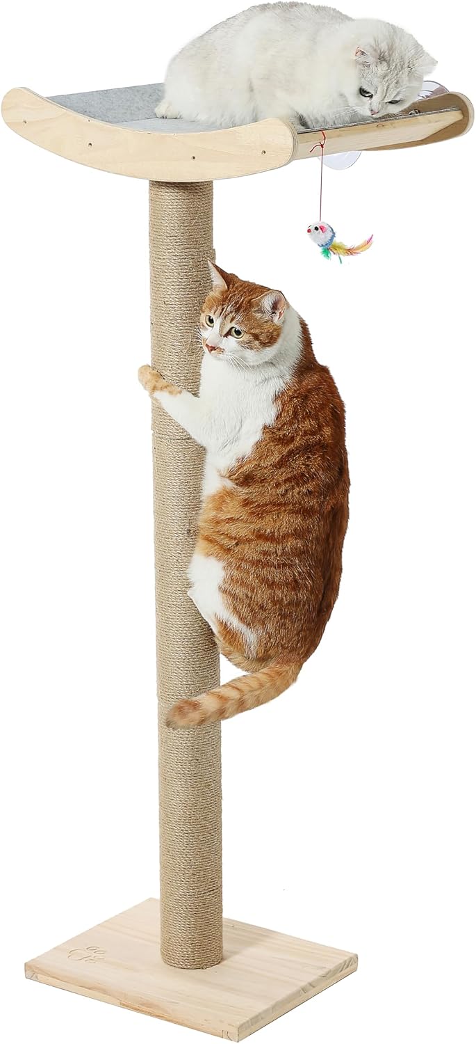 Cat Scratching Post with Large Window Perch - Large