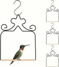 4-Pack Metal Hummingbird Swings Black – Essentials for Birds - Black