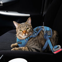 Cat Harness and Leash Set, Adjustable Cat Vest Harnesses – Essentials for Cats - Blue / X-Small - image 4