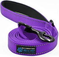 Max and Neo Reflective Nylon Dog Leash - 4 FT x 1" Wide / PURPLE