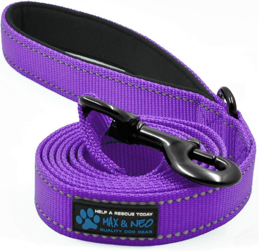 Max and Neo Reflective Nylon Dog Leash - 4 FT x 1" Wide / PURPLE