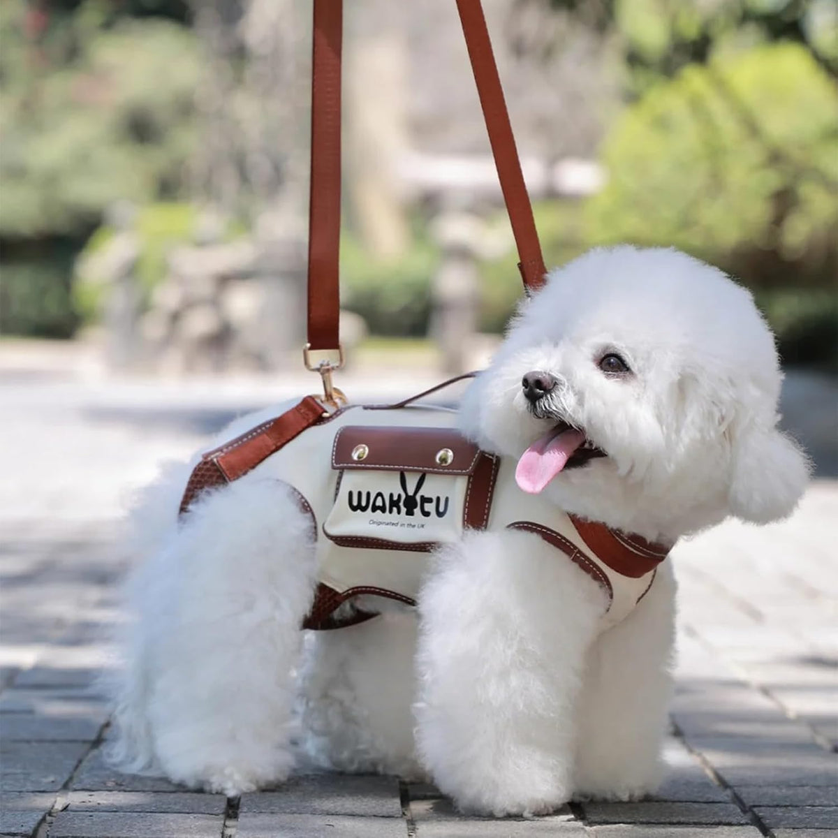 Wakytu Dog Lift Harness Dog Carrier Sling for Small Dogs & Cats - X-Small(2-5 LBS) / 1.0 White - image 2
