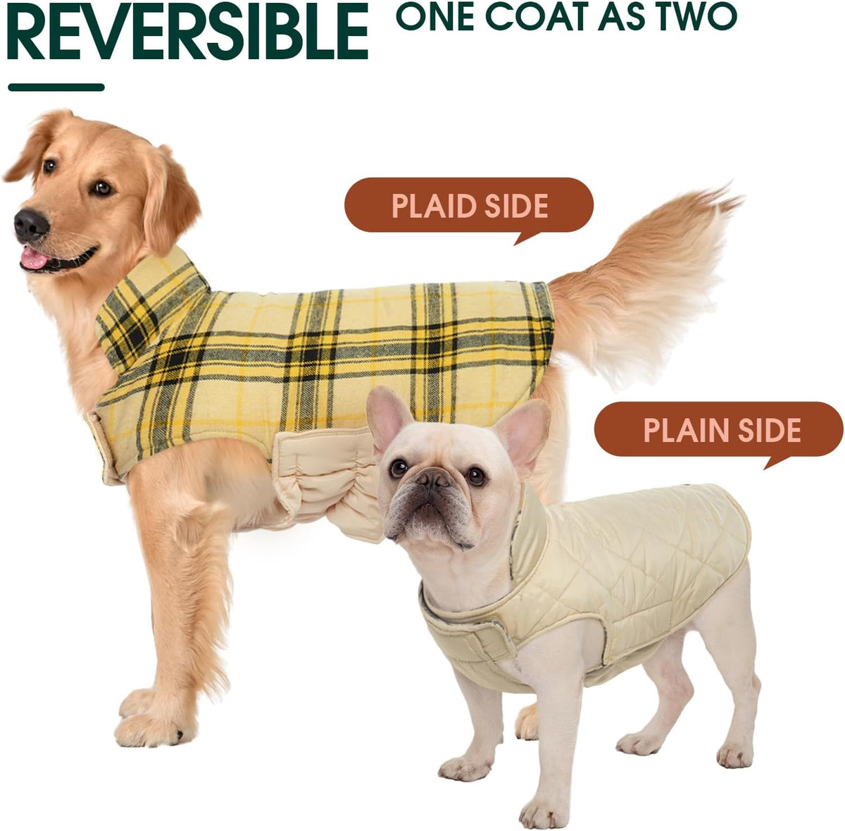 Kuoser Waterproof Dog Coat - Yellow / Large (Pack of 1) - image 2