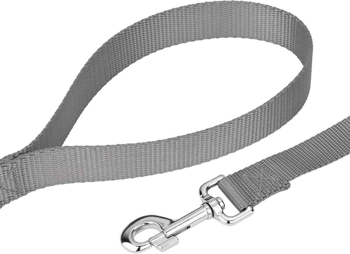 Country Brook Petz, Everyday Nylon Dog Leash - Silver / 6 Foot X 1 Inch Wide (Pack of 1) - image 4