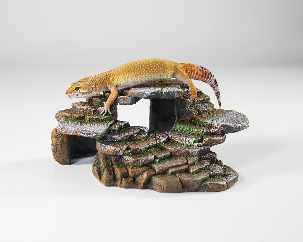 PENN-PLAX Reptology Shale Scape Step Ledge & Cave Hideout - Medium - image 3