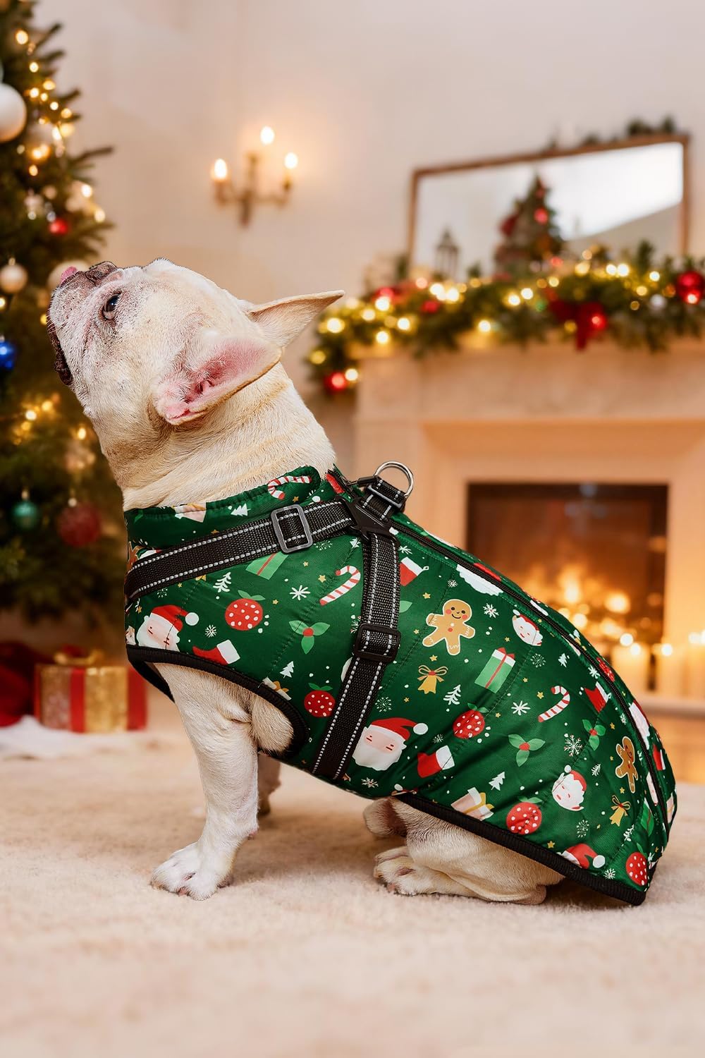 Aiboria Dog Jackets Coat for Winter Windproof Waterproof Skiing Dog - Christmas Green / XX-Large - image 4