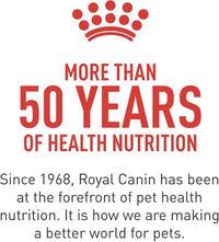 Royal Canin Maine Coon Adult Breed Specific Cat Food Thin Slices in Gravy, 3 oz can (6-Pack)