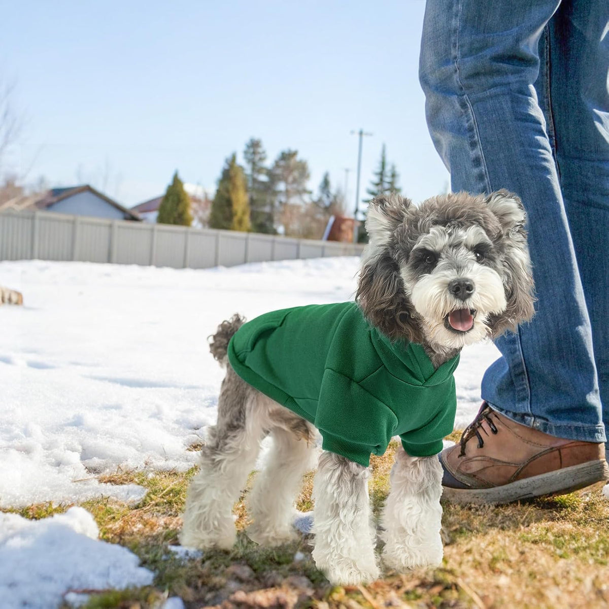 Security Dog Hoodie for Small Medium Large Dogs Boys Girls – Essentials for Dogs - Green(with Pocket) / Medium - image 3