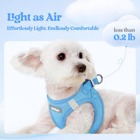 rabbitgoo Dog Harness Small Sized and Leash Set - Blue / M (chest: 16 - 18.5") - image 4