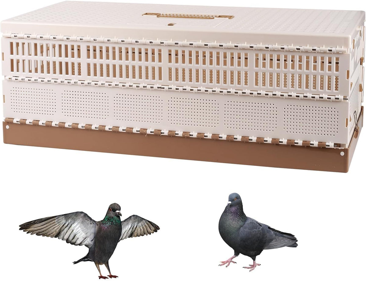 Plastic Foldable Pigeon Cage with Handle, S, Two Doors – Essentials for Birds - 28.7"L x 13.4"W x 9.8"H