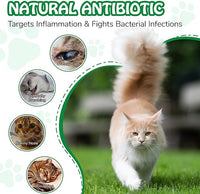 Antibiotics for Cats | Cat Antibiotics | Natural Antibiotics for Cats | Pet Antibiotics | Cat Itchy Skin Relief | Cat Allergy Relief | Cat Antibiotics for Skin Infection | 2 Fl Oz-Chicken Flavour